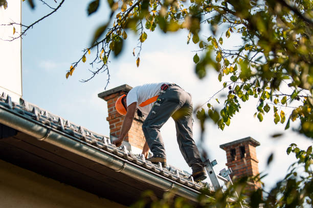 Best Rubber Roofing (EPDM, TPO)  in Sylvan Lake, MI